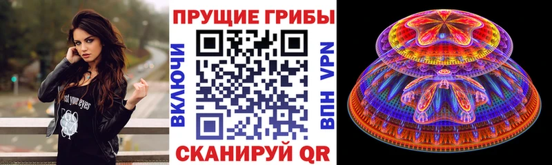 Псилоцибиновые грибы Psilocybine cubensis  где можно купить наркотик  Арамиль 